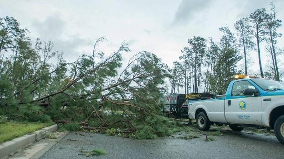 Hurricane Matthew drops pines across Robert Grissom Hwy forcing city vehicles to squeeze by Saturday night .