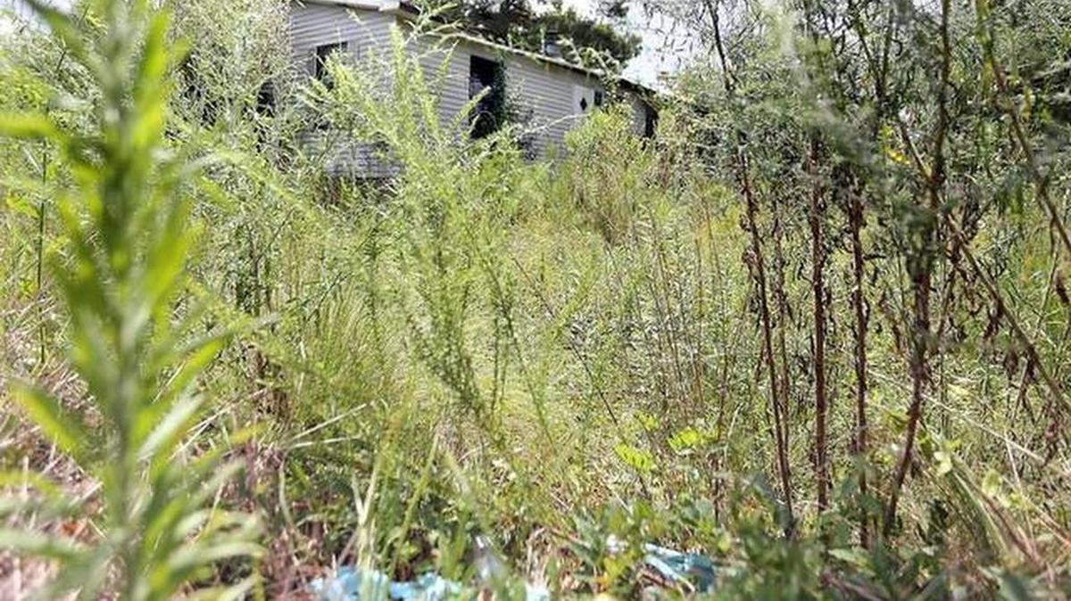 Several abandoned homes in the county need to be torn down, Horry County councilmen say.