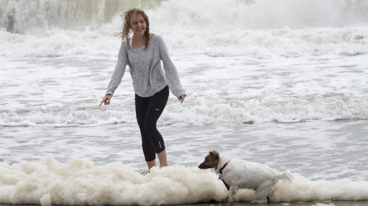 Meagan Eisentraeger took advantage of a break in the weather Wednesday afternoon to take her dog, "Buddy" to play in the surf. Rough winds rattled the Grand Strand Wednesday causing some minor issues, but the severe weather that closed schools was largely a no-show due to dry air stabilizing the atmosphere, according to forecasters.