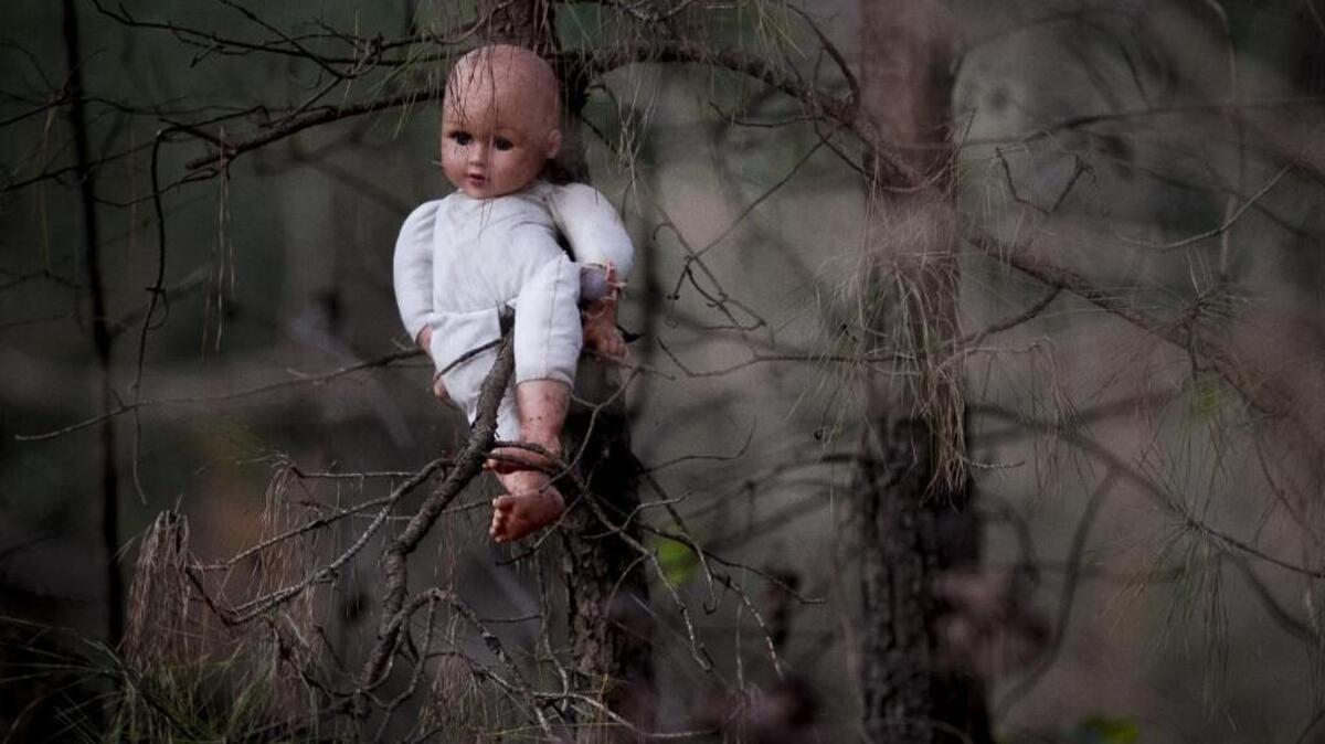 A baby doll straddles a tree limb off the side of Gilbert Road near the site of the "Lucas Bay Light." The decades old legend of a woman searching by lantern for a child lost in a flood in the 19th Century has long drawn visitors who have claimed to see unexplained lights in the nearby swamp. Oct. 29, 2016.