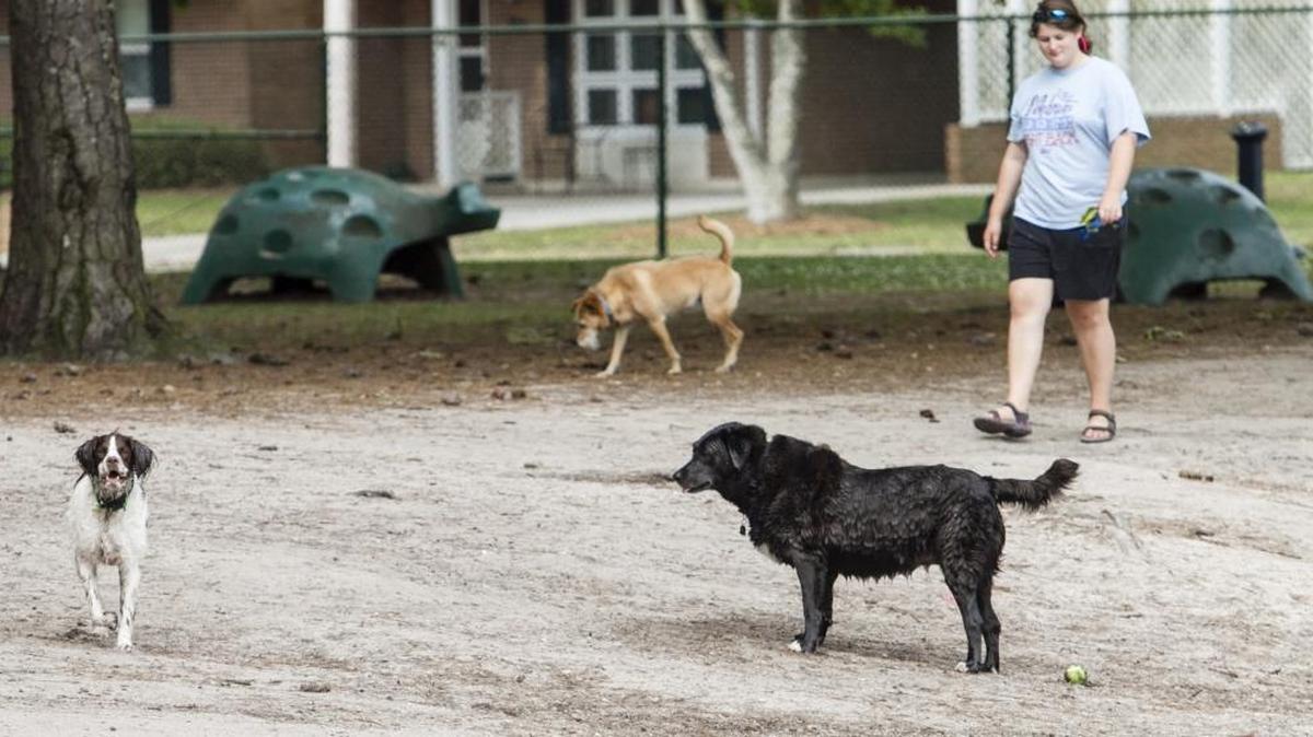 The Seagate Village dog park, named Barc Parc South, is slated for a one-acre expansion with additional amenities including fencing, benches, a water fountain, tables, trash cans, and ADA-approved rubber surfacing for sidewalks and landing pads.