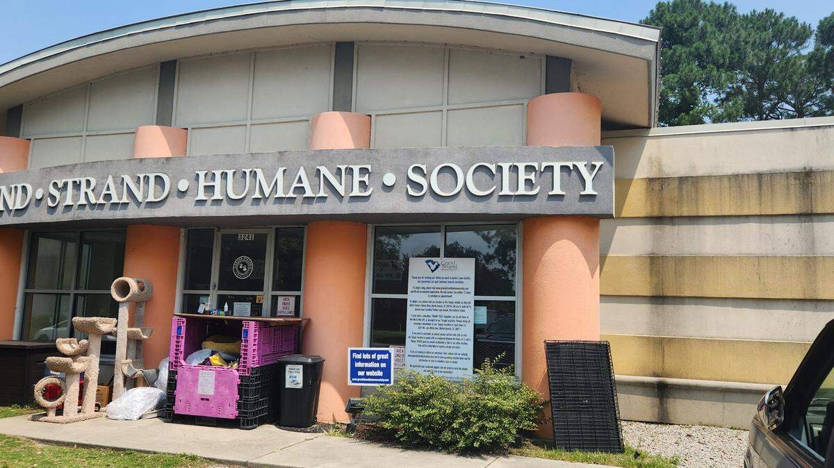 The Grand Strand Humane Society is searching for a new home as it has outgrown its current facility.