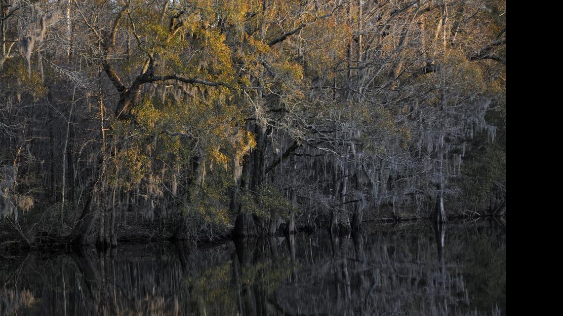 Nearly 500 Conway acres being set aside for conservation