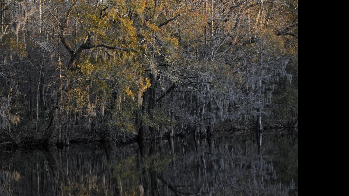 
Conservation groups want to acquire nearly 500 acres on either side of the Main Street bridge close to downtown Conway. Their plan is to convert the land into a series of hiking trails. The city supports the mission.
