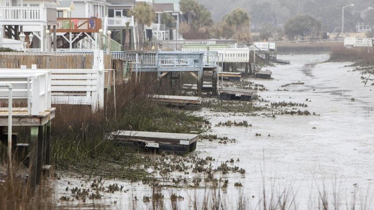 Canals in the Cherry Grove section of North Myrtle Beach go nearly dry at low tide exposing oyster rakes and pfluff mud.