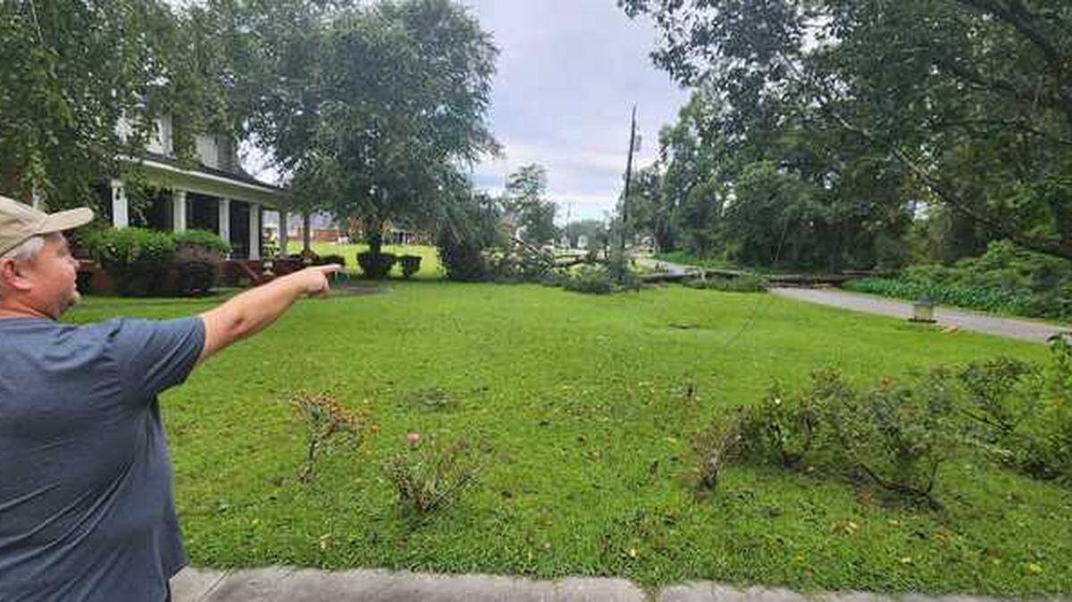 Aynor resident Tom Pennington looks across the front yard of his Oak Street home at a large tree that was taken down by Tropical Storm Idalia on Aug. 31, 2023.