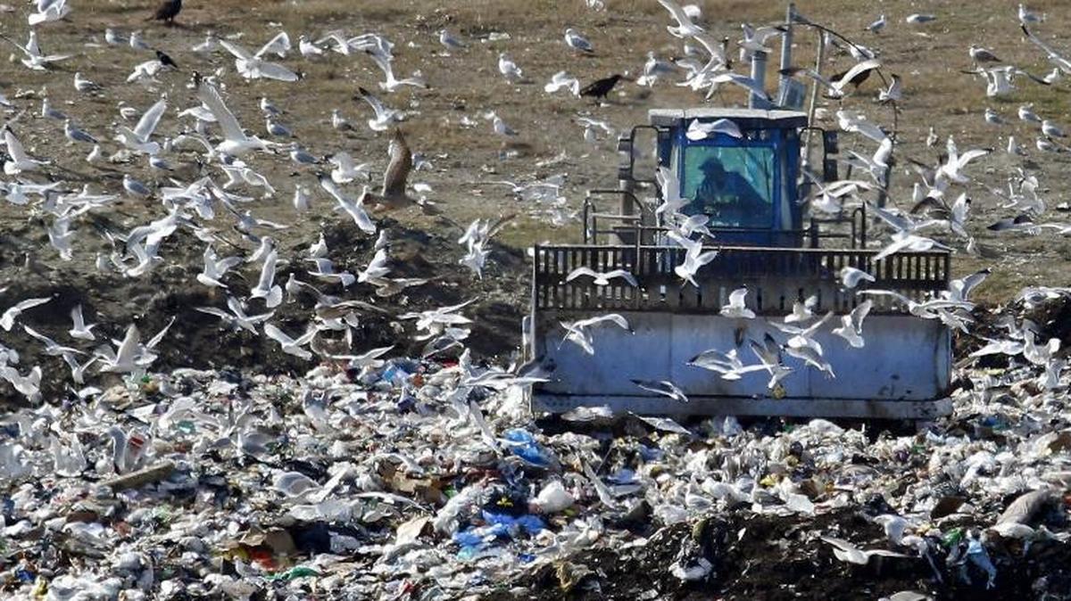 Operators crush trash at the Horry County Solid Waste Authority landfill outside of Conway.