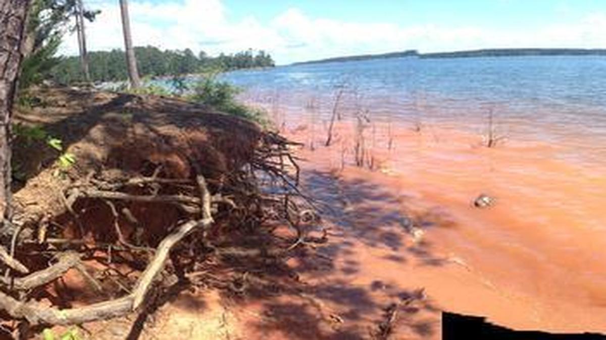 
From the banks of Lake Thurmond at Hickory Knob State Park in McCormick County.

