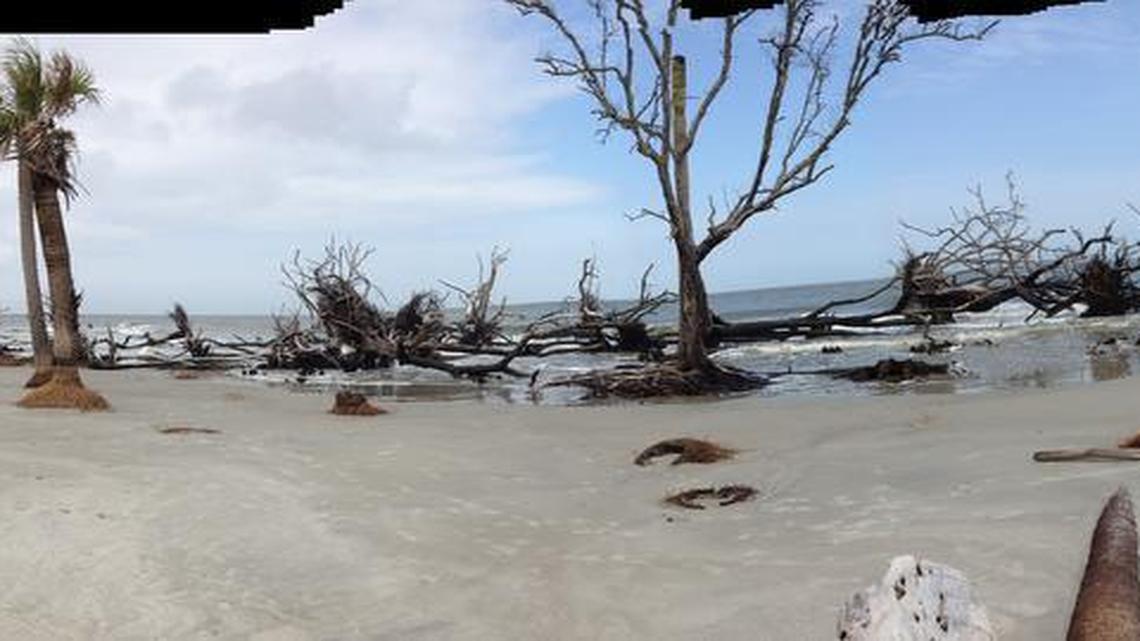 Issac Bailey | Native South Carolinians explore their state, find unspoiled natural beauty