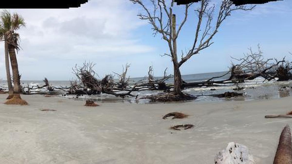 
An unspoiled portion of beachfront at Hunters Island State Park.
