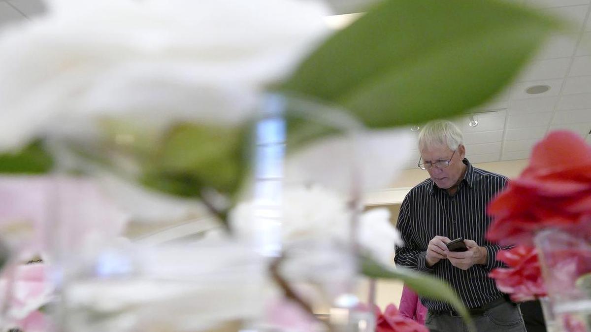 Randy Lampley of Murrells Inlet looks over blooms last year at the Grand Strand Camellia Society’s annual Camellia Show. See the 2016 exhibition, with hundreds of flowers, 1-5 p.m. Saturday-Sunday at Inlet Square in Murrells Inlet, for free.