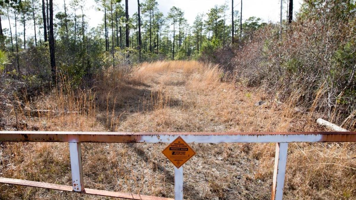 Horry County plans to purchase 3,700 acres of property on the west side of International Drive to serve as a wetlands mitigation area and to extend Gardner Lacy Road to International Drive. Jan. 23, 2018.