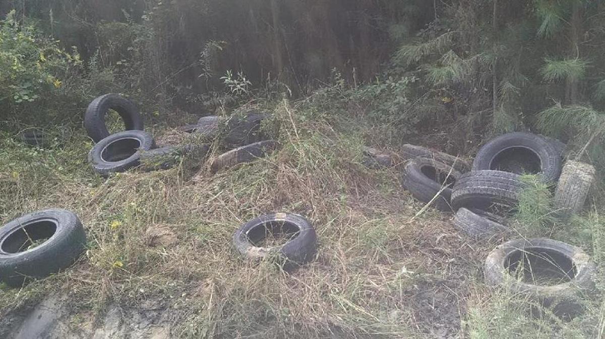 
Georgetown authorities said they’ve seen instances of illegal dumping. 
