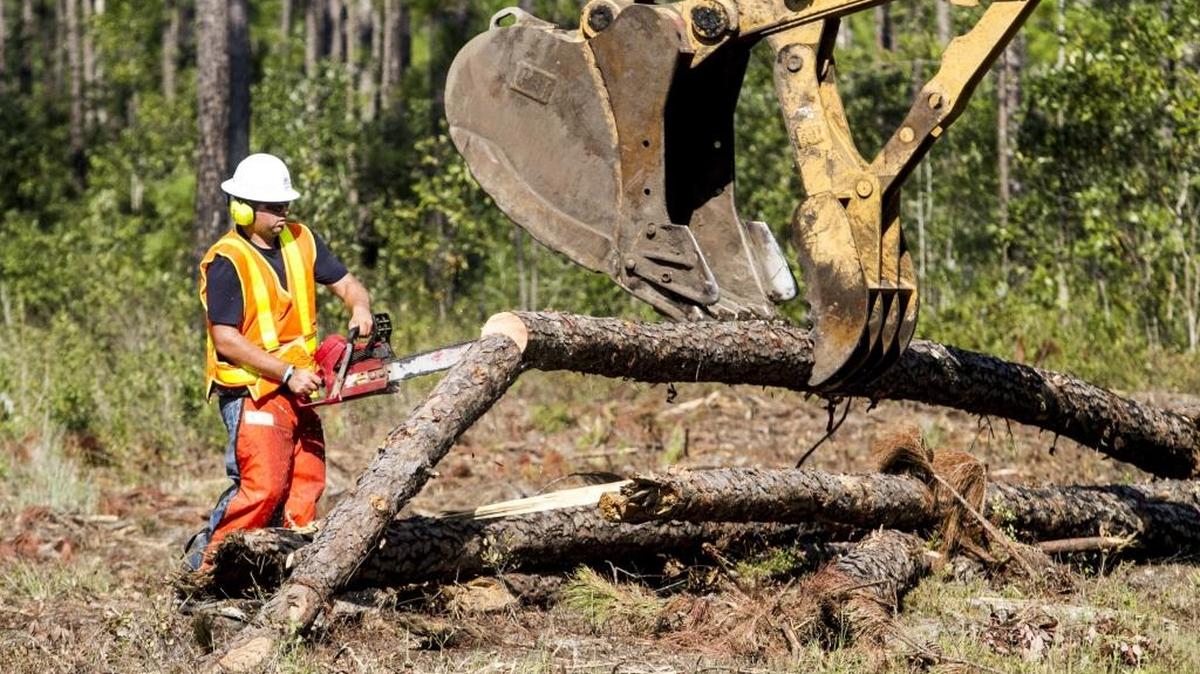 Some construction work will be limited in several areas of International Drive while litigation by environmentalists to block the project proceeds in federal court.