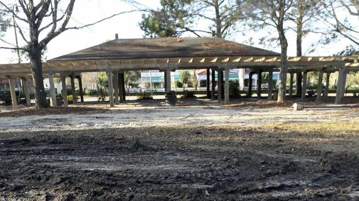 Trees are cut down in Chapin Memorial Park. The remains and stumps of the trees are at the park on Monday, Jan. 4, 2016. Chapin Memorial Park is off 14th Avenue North and Kings Highway in Myrtle Beach.