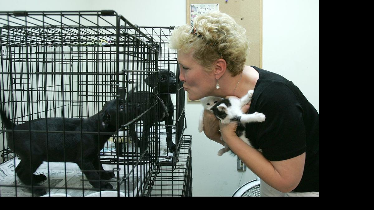 
Sandy Brown, the executive director of the Grand Strand Humane Society, in the puppy room. She is resigning her post July 15.

