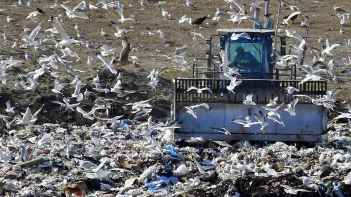 Operators crush trash at the Horry County Solid Waste Authority landfill outside of Conway.