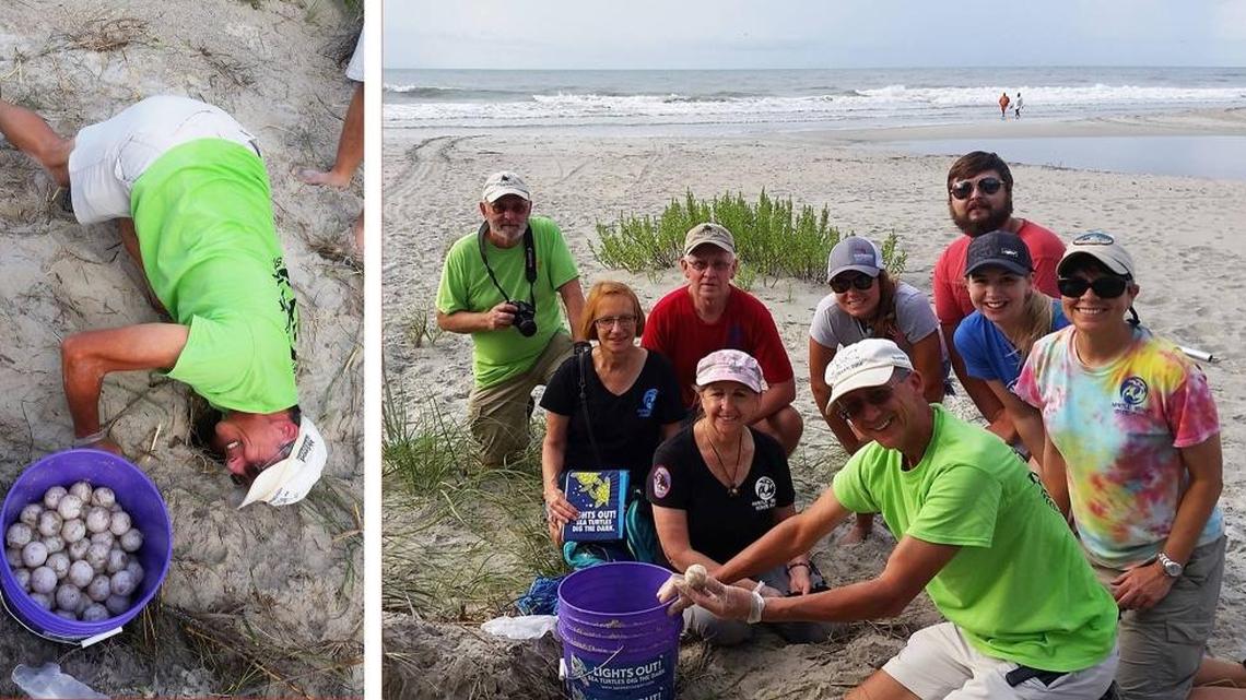 The green sea turtle that was found Monday morning. Only four green sea turtle nests have been found throughout the entire state of South Carolina.