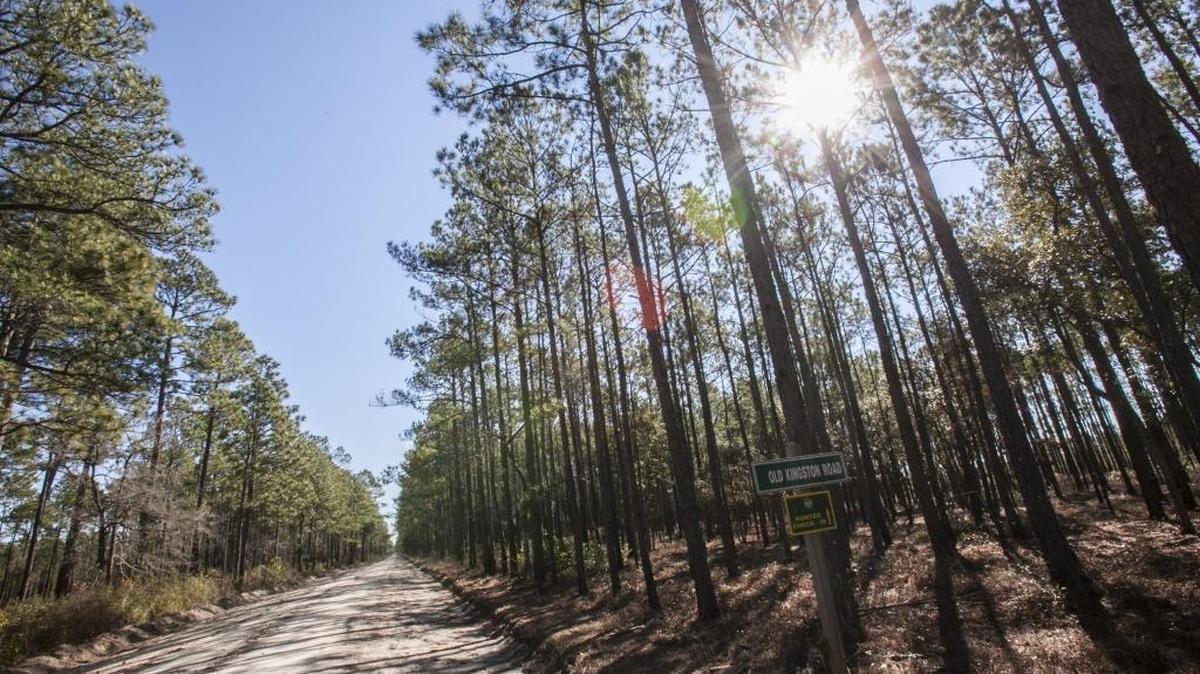 A construction project to four-lane the International Drive dirt road connecting S.C. 90 to Grissom Parkway has been delayed by environmental groups who are challenging the proposal in court.