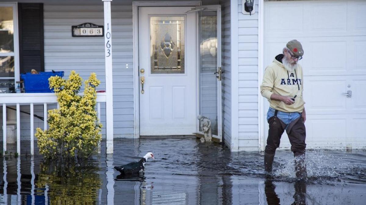 Jim Fraboni wades past a duck in front of his flooded Socastee home in January.
