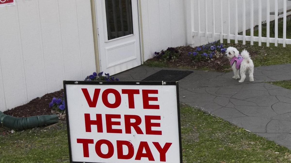 A dog stands outside the polling place at Chapel By The Sea church in Cherry Grove. Horry County Voters visit their local precincts to vote in the Republican primaries on Saturday, Feb. 20, 2016.