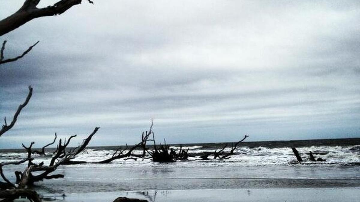 Cape Romain National Wildlife Refuge, S.C.