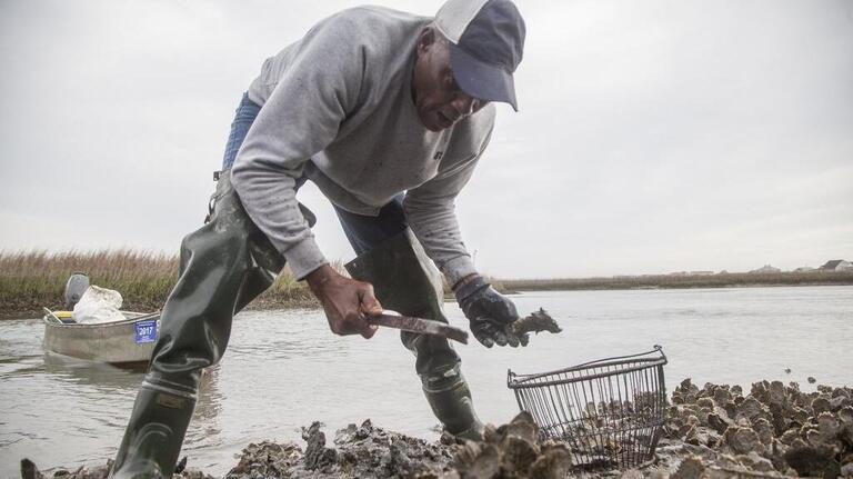 Remembering Murrells Inlet’s ‘last original oysterman,’ Franklin Smalls, aka ‘Snakeman’