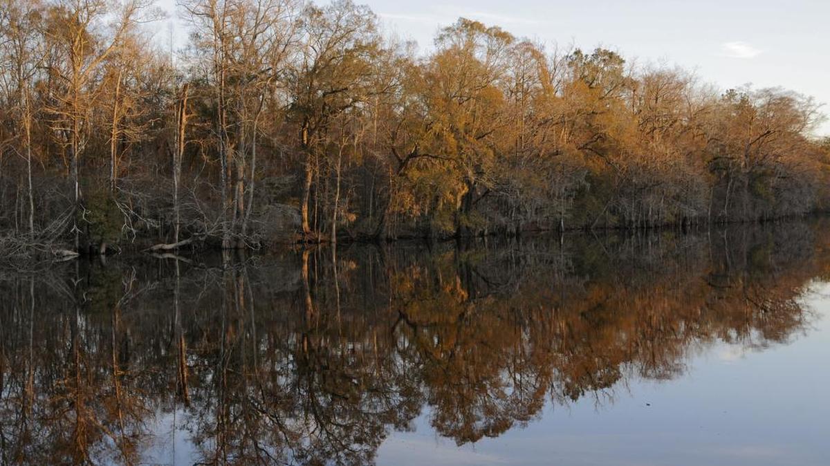 The Nature Conservancy wants to acquire this 494-acre tract on either side of the Main Street bridge close to downtown Conway. The group's plan is to convert the land into a series of hiking trails and use it for conservation purposes. The city supports the mission.