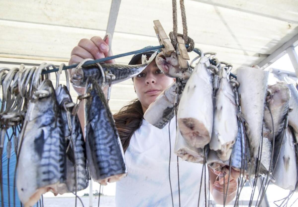 Katie Kalenick, a CCU student from Illinois, bait hooks with mackerel to be used to catch sharks in Winyah Bay. Coastal Carolina students catch and tag sharks in Winyah Bay as part of a Marine Sciences class research project. According to Dr. Dan Abel, the bay is home to twelve species of sharks. He hopes the data that he and his team collect may aid in the recovery of depleted stocks. Friday, Aug. 25, 2017.
