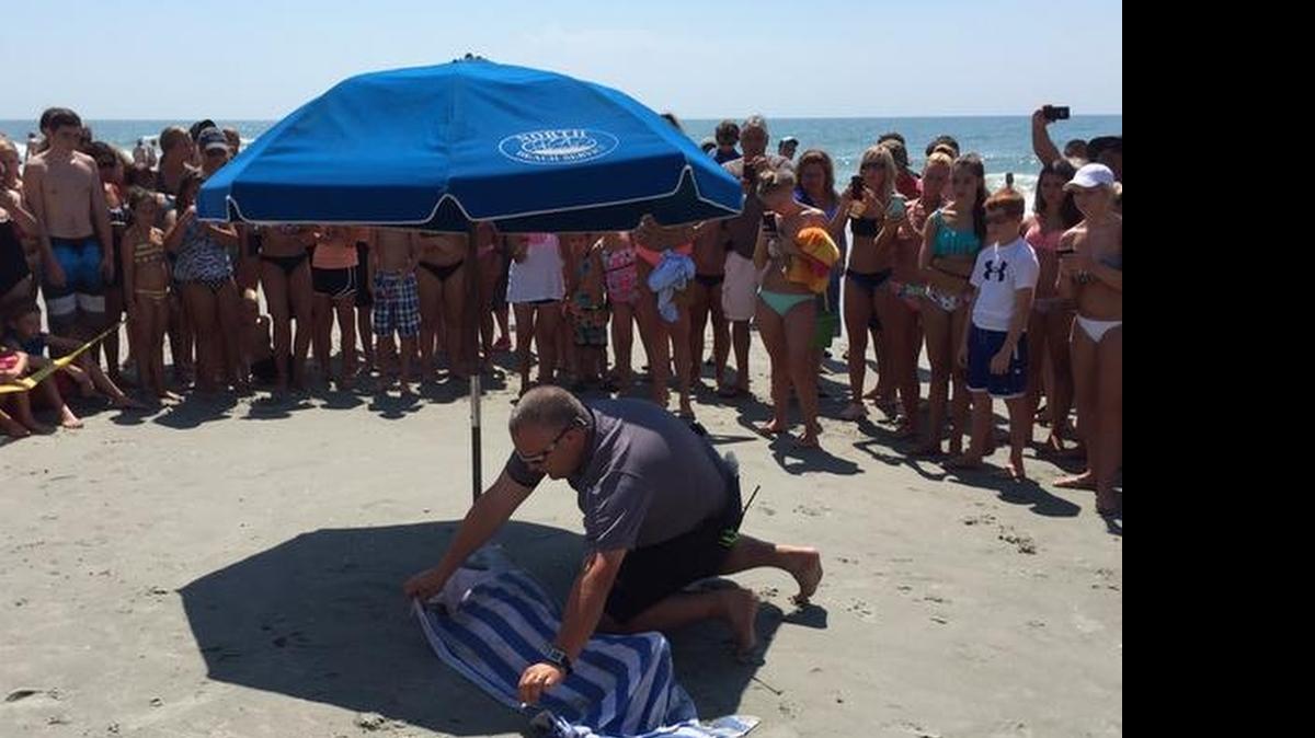 
Two whales have washed ashore near Apache Pier in Myrtle Beach. Horry County Cpl. Justin Wyatt covers one with a wet towel.
