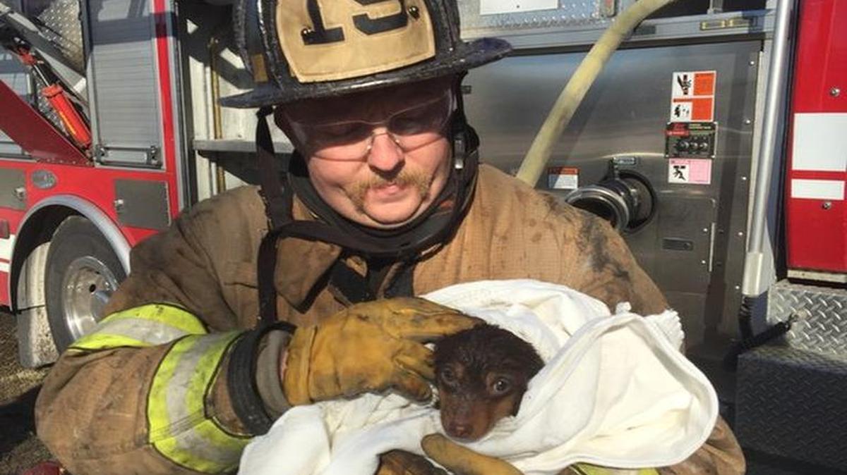 Photo from Horry County Fire Rescue’s Twitter account.