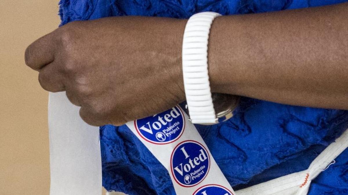Voters head to the polls Tuesday for the special election to fill the 7th district Horry County Council seat.
