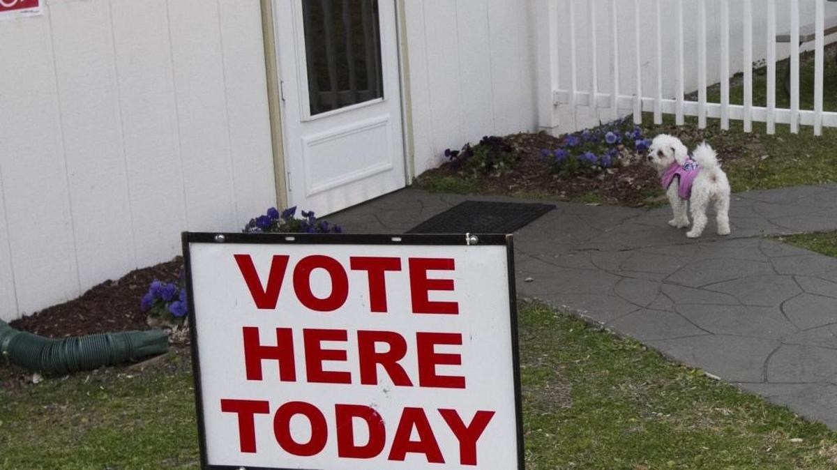 A dog waits outside the polling place at Chapel By The Sea church in Cherry Grove during the February presidential primary.