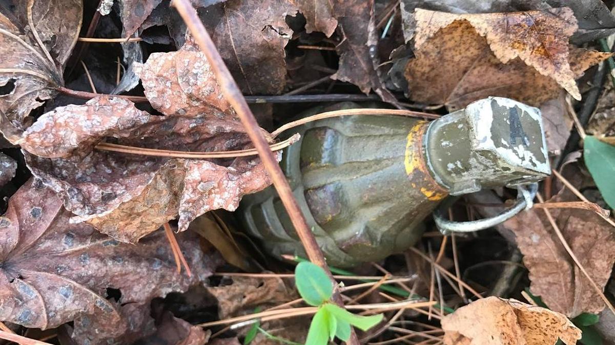 This WWII-era ‘pineapple grenade’ was found in a Clemson resident’s yard this week.