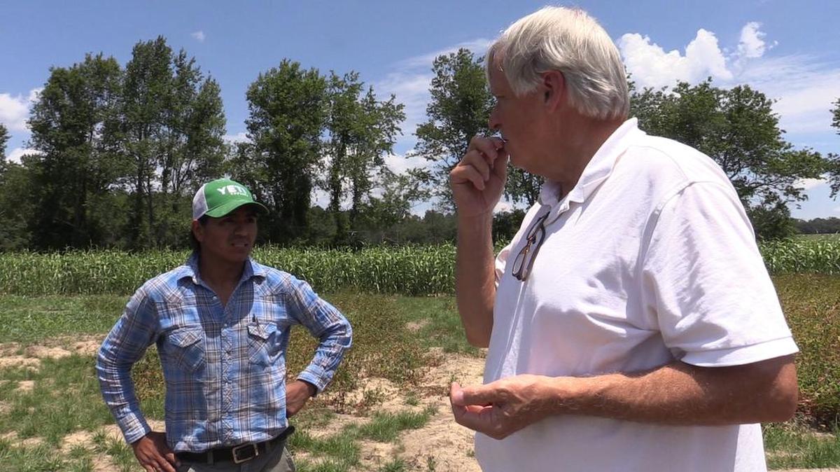 Eufren Ninancuro, left, and Glenn Roberts - founder of Anson Mills and the Carolina Gold Rice Foundation - talk about the seed crops at Jatun Killa Farm in Eastover.