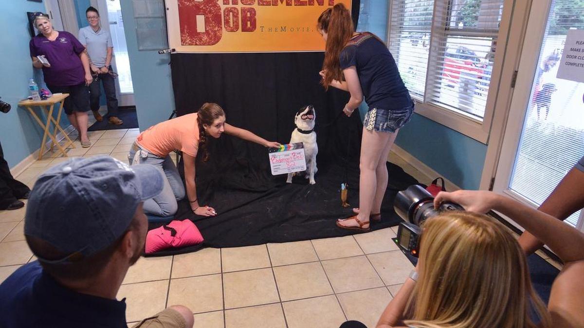 Movie crew member Caitlin Whalen holds a sound slate as Port Royal’s Ashley Wark, right, gets Chance the dog in position for his audition for the movie “Basement Bob,” which is going to be filmed in the Beaufort area. “It was quick and easy,” said Wark of the experience. “He’s going to be a little movie star,” she said of Chance. The auditions were held on Sunday at Port Royal Veterinary Hospital.