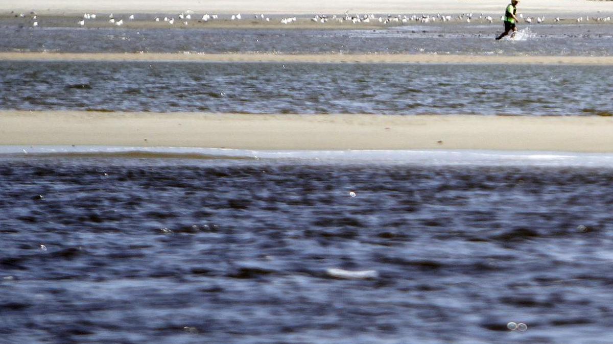 Atlantic drilling may be off the table for now, but seismic testing to determine the amount of oil located offshore could still occur. Environmental groups maintain the loud noises from the testing could damage marine life.