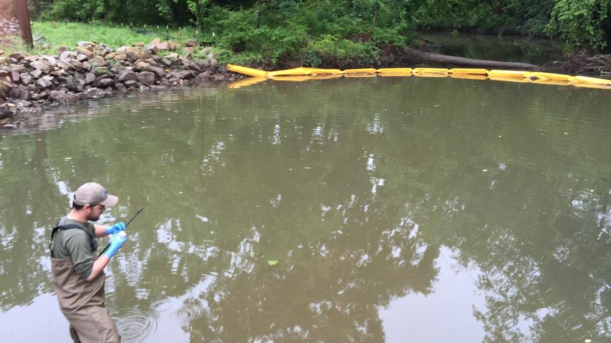 Congaree Riverkeeper Bill Stangler wades into Smith Branch, a bacteria-plagued creek, to take water samples recently