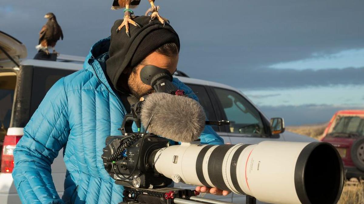 Join Filipe DeAndrade and his two best friends on the trip of a lifetime as they travel the United States in search of the most diverse, iconic and unexpected animal species the country has to offer.