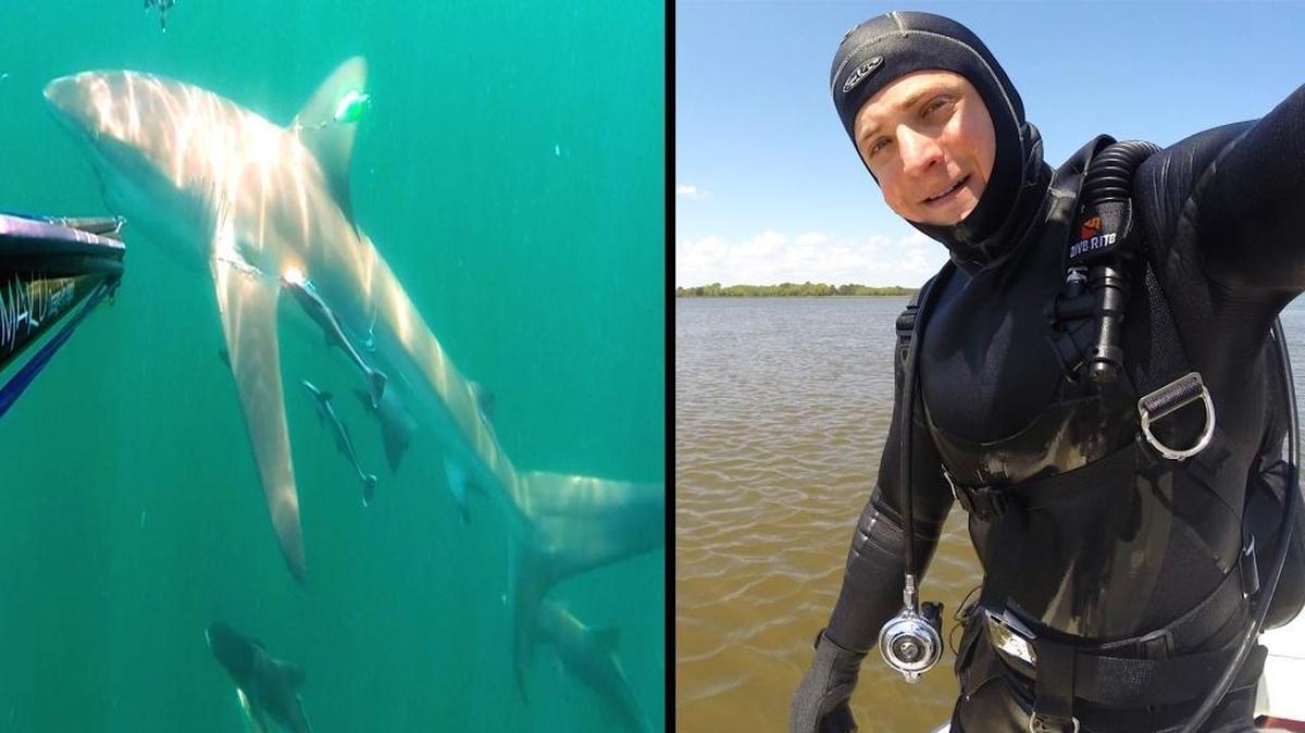 Erik Anderson, 29, of Bluffton, poses aboard a fishing boat off Hilton Head Island on June 10, 2016, the day the veteran spear fisherman encountered a 6-foot shark (pictured) that did not take kindly to his presence. Normally not fearful of sharks, Anderson says that after this one bit his speargun, he thought, “I think I’ll call that good and get out of the water.”