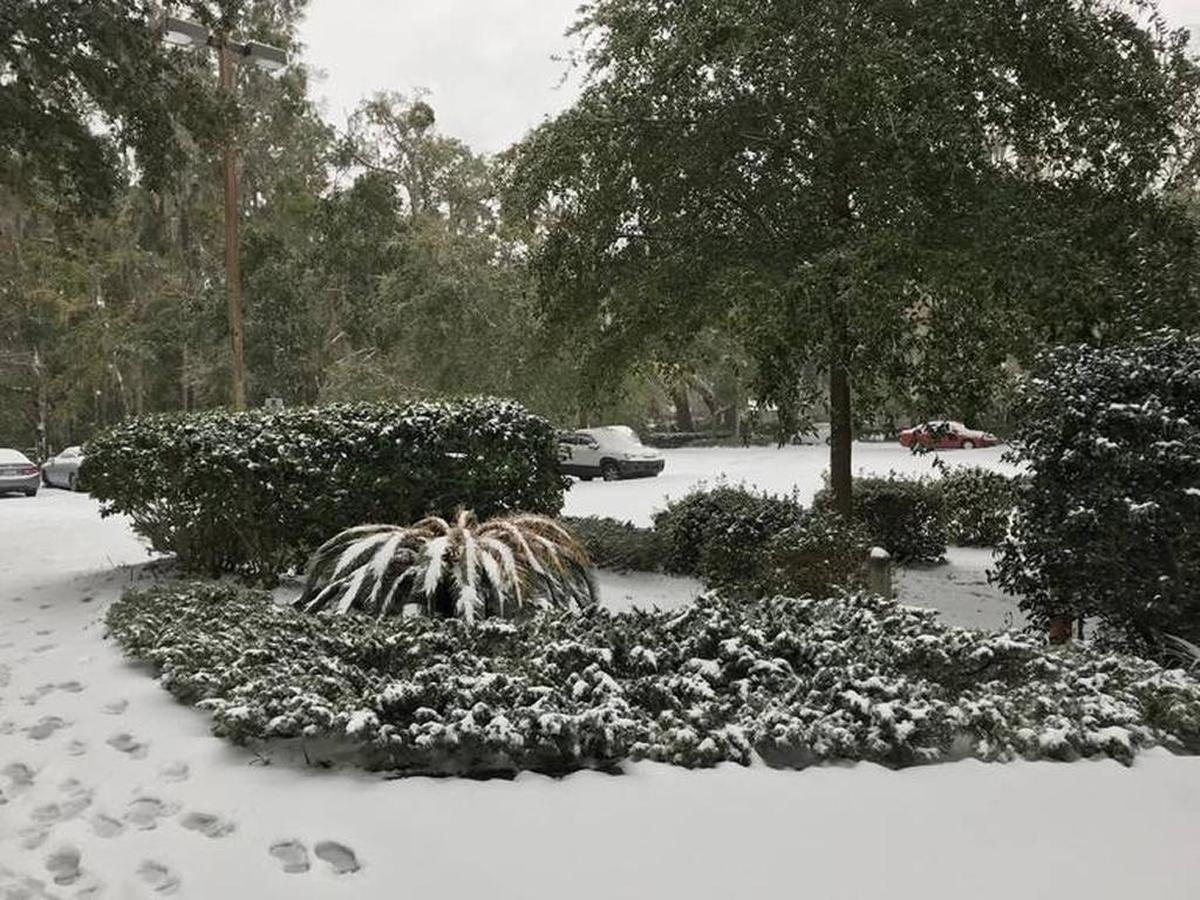 Snow in Bluffton as seen on Jan. 3, 2018.