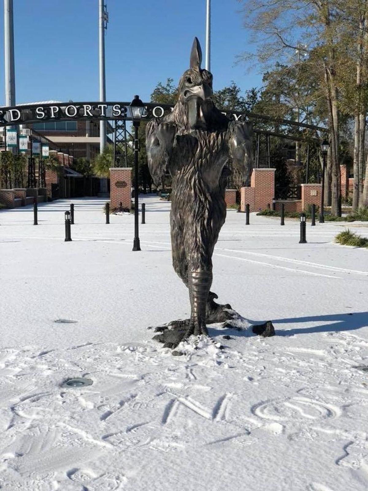 The bronze Chanticleer statue at Coastal Carolina University pictured with snow at the TD Sports Complex.