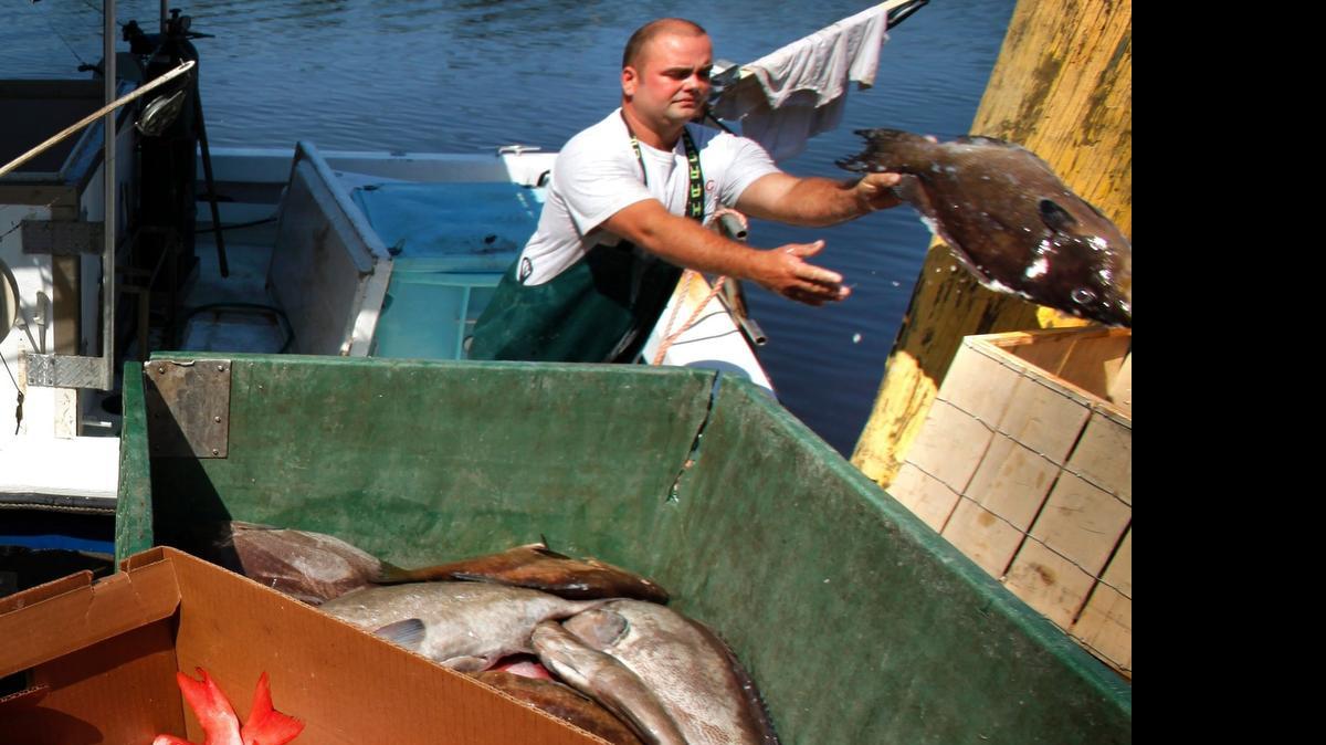 
Capt. Geoffrey Owens (right) tosses a grouper as he unloads mostly grouper and snapper from his boat the "Rolling Thunder" at Independent Seafood Market in downtown Georgetown in 2011.
