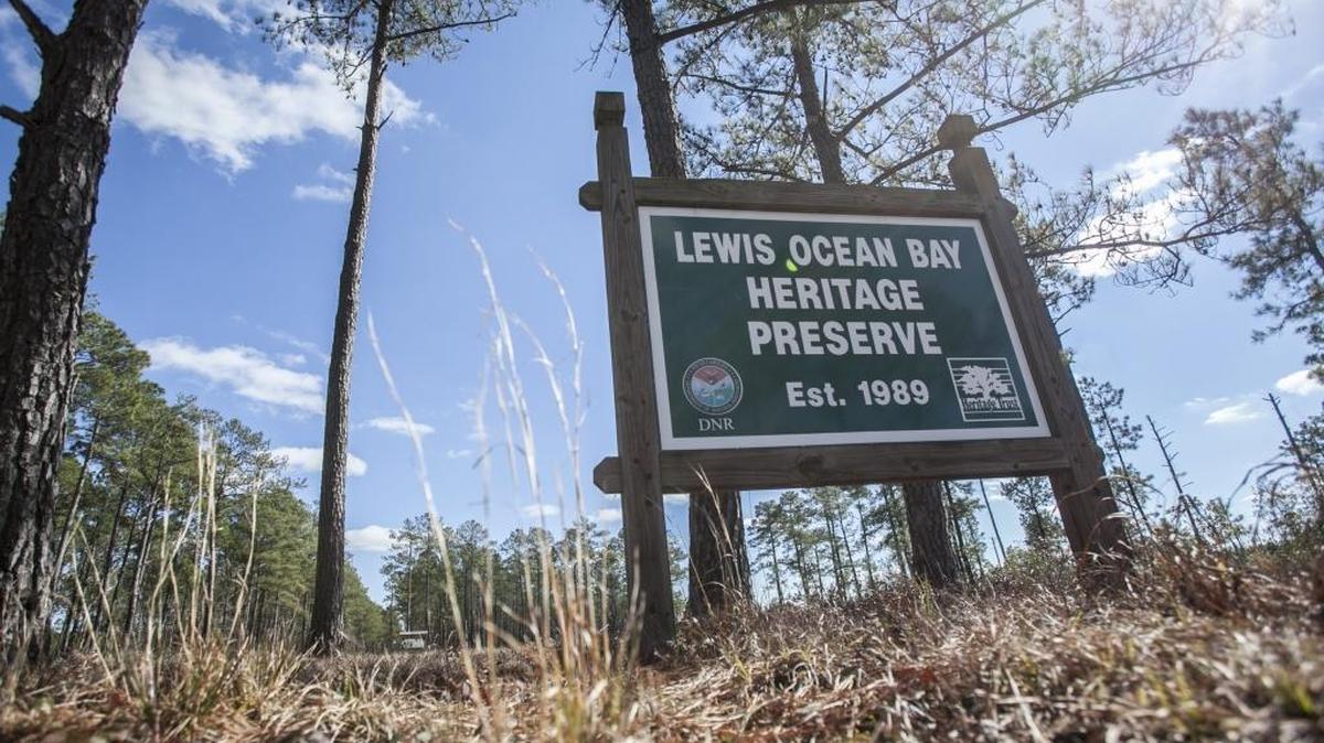 International Drive is currently a dirt road that dead ends in Lewis Ocean Bay Heritage Preserve.