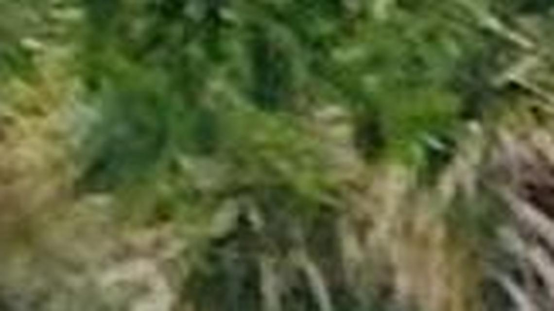 Two Myrtle Beach police officers caught in the act Sunday morning . . .