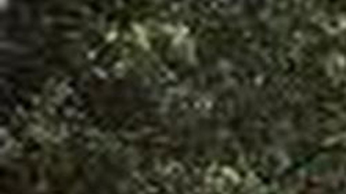 That time a black man came to Conway to speak in favor of the Confederate flag