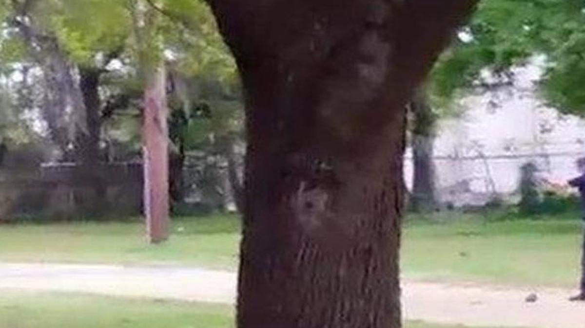 
An image from the video of a North Charleston police officer, Patrolman 1st Class Michael T. Slager, shooting fleeing Walter Scott multiple times in the back. | The New York Times
