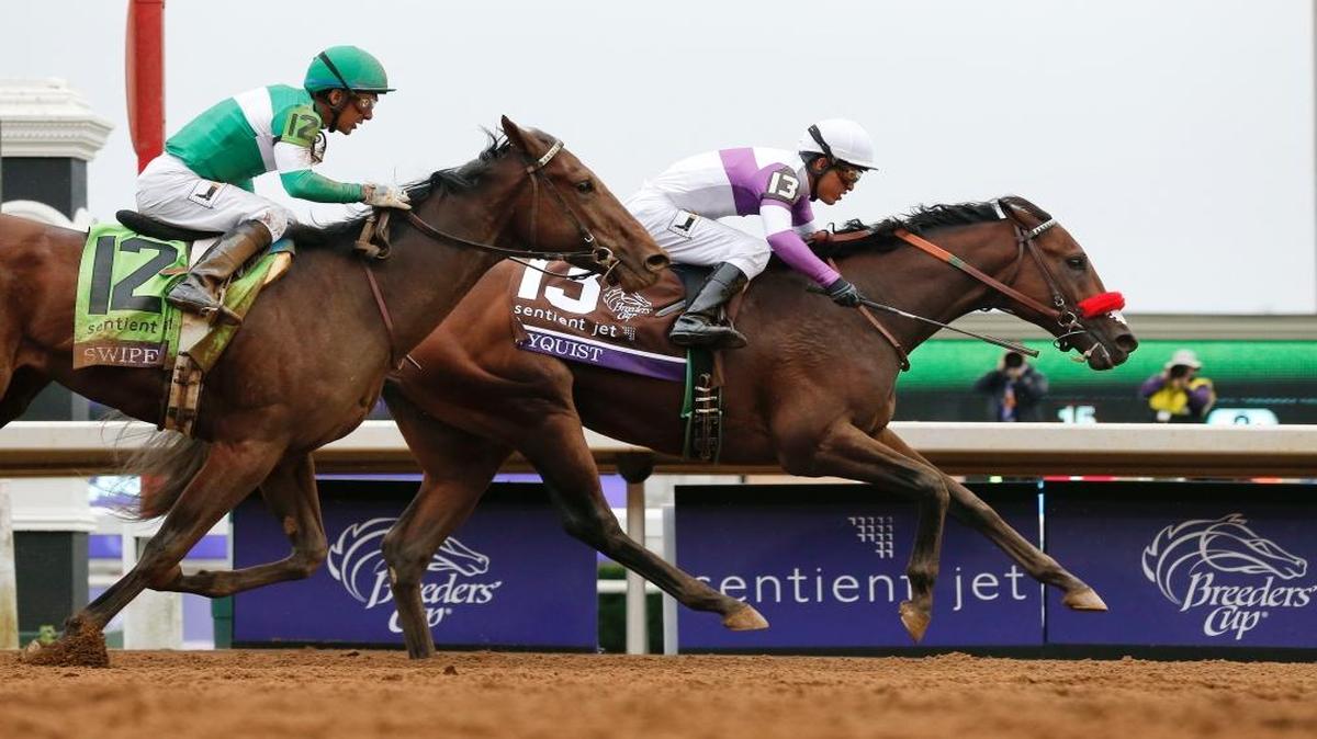 Nyquist (13), with Mario Gutierrez up, wins the Breeders’ Cup Juvenile horse race at Keeneland in Lexington, Ky. Unlike Pharoah-phever a year ago, Nyquist-mania hasn’t yet struck in the days leading to the Kentucky Derby. It might by next Saturday night if the undefeated colt ends up in the winner’s circle at Churchill Downs.