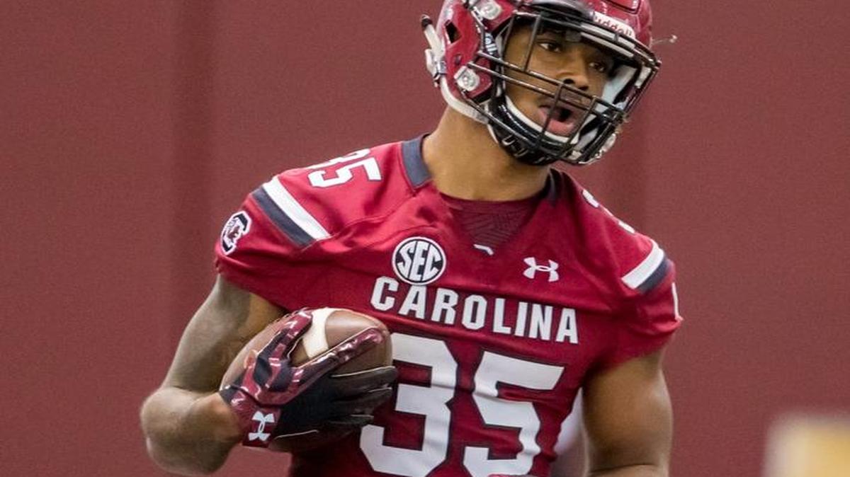 Former South Carolina Gamecocks running back Stephen Davis Jr.