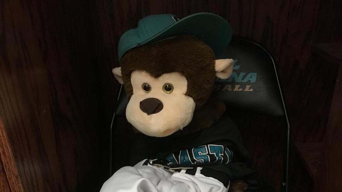 “Rafiki” has served as quite the good luck charm for the Coastal Carolina baseball team since his addition to the Chanticleers’ dugout a few weeks ago.